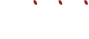 logo_olivini_group
